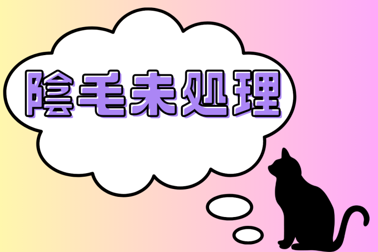 未処理の陰毛AV女優一覧