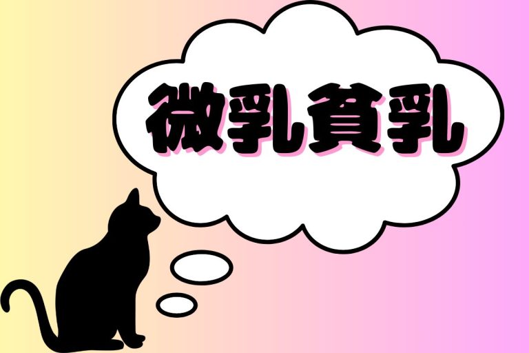 微乳・貧乳AV女優一覧