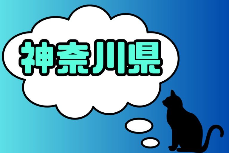 神奈川県出身のAV女優一覧
